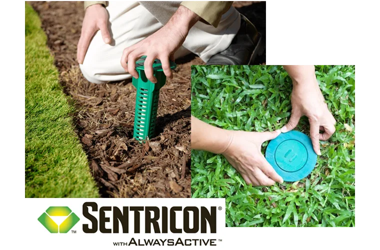 Sentricon image grid